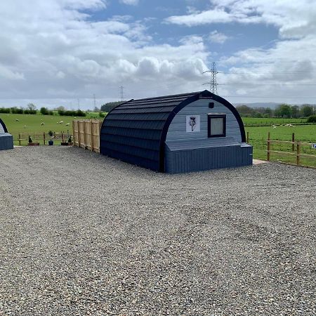 Thistle Pod Farm Stay With Hottub Sleeps 2 Galston  Eksteriør billede