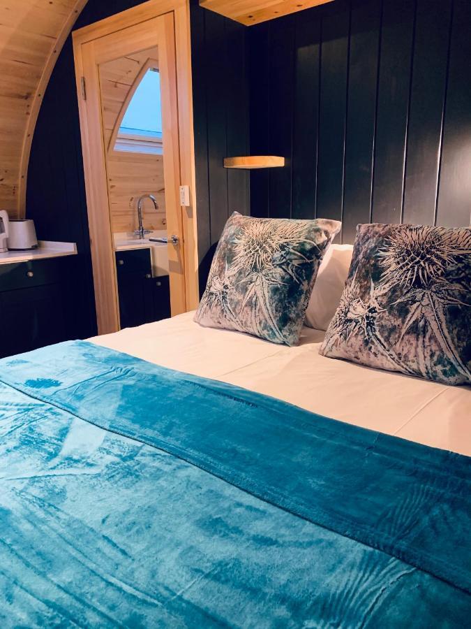 Thistle Pod Farm Stay With Hottub Sleeps 2 Galston  Eksteriør billede