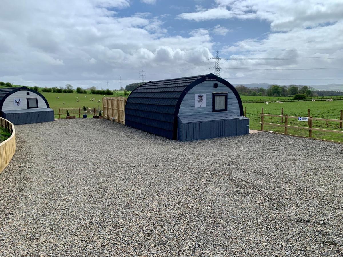 Thistle Pod Farm Stay With Hottub Sleeps 2 Galston  Eksteriør billede